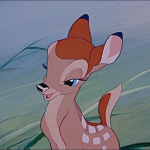 Meet your Posher, Francesca